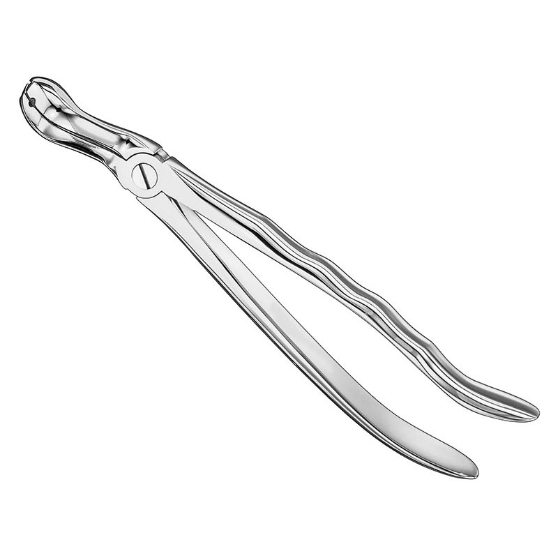 FELSCH, extracting forceps