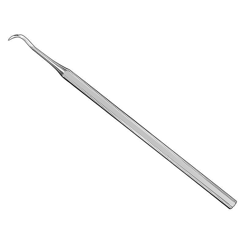 Provisional prosthesis lifter