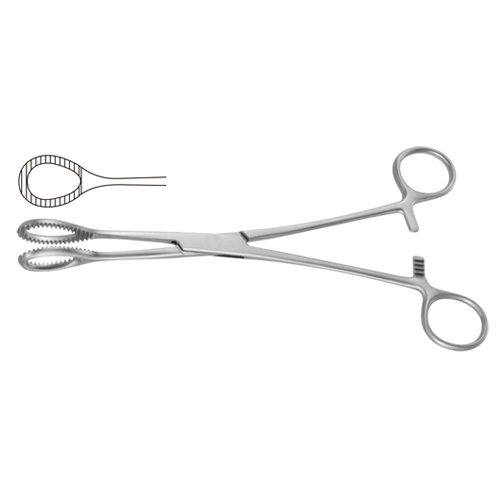 Sponge Holding and Sinus Forceps