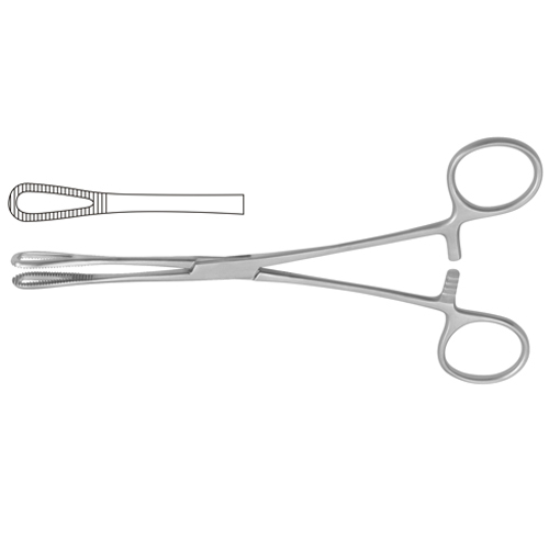 Rampley Sponge Holding Forcep