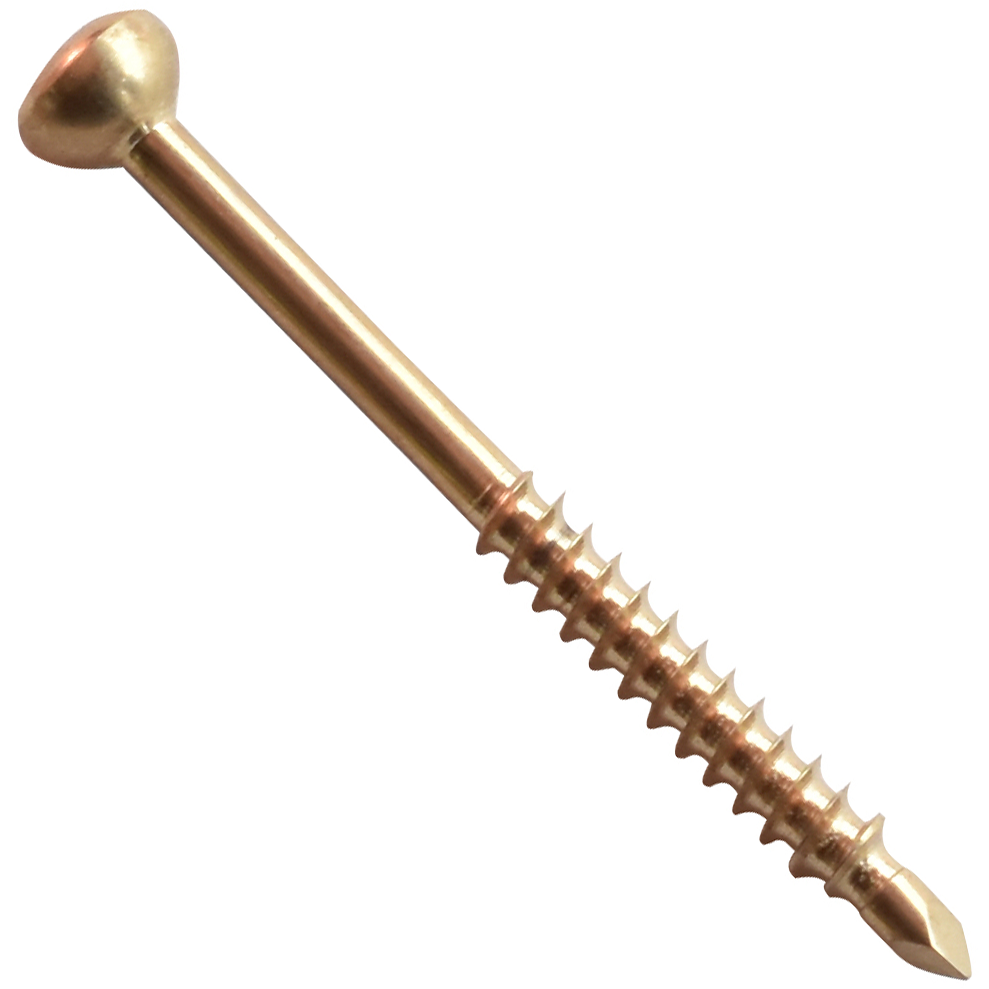 3.5mm Malleolar screw