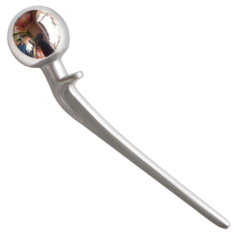 Lazcano Hip prosthesis