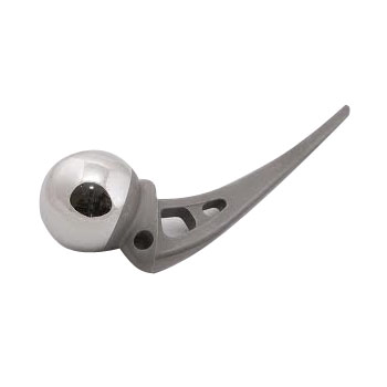 Hip Prosthesis